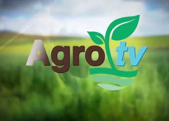 Agro Tv Live Stream