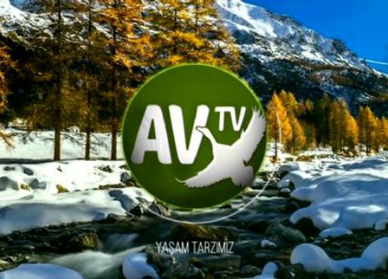 Av Tv Live Stream