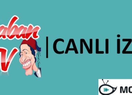 Şaban TV Live Stream