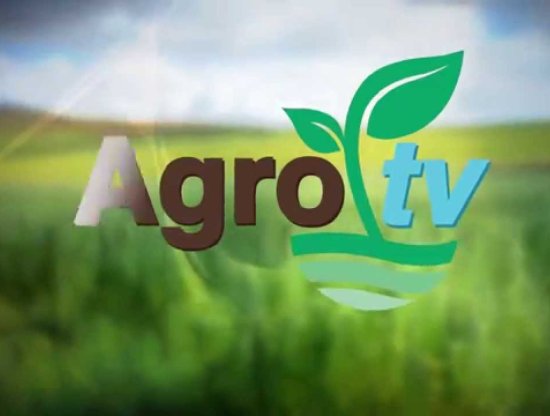 Agro Tv Live Stream