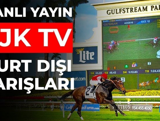 Tjk Tv Yurtdışı Live Stream